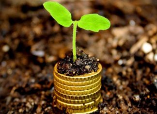 Как работает рынок труда и какие факторы на него влияют?